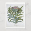 Suche nach hortus postkarten Blume