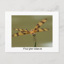 Suche nach wildtiere karten Für alle