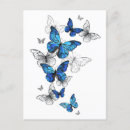 Suche nach blauer morpho schmetterling postkarten Darstellung