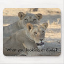 Suche nach löwe afrika mousepads Löwen