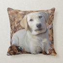 Suche nach labrador kissen Jagd