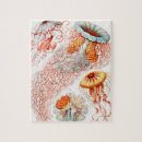 Suche nach quallen puzzle Kunstformen der natur