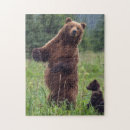 Suche nach alaska puzzle Wald