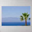 Suche nach teneriffa poster Tenerife