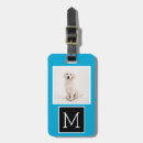 Suche nach instagram gepäckanhänger Fotografie