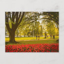 Suche nach moon and stars postkarten Für sie