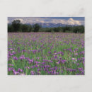 Suche nach anchorage postkarten Landschaft