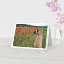 Suche nach mund karten Jede person