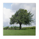 Suche nach bauern fliesen Landschaft