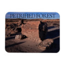 Suche nach wald magnete Reise