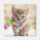Suche nach tabby magnete Feline