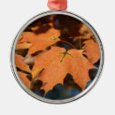 Suche nach ahorn ornamente Urlaub