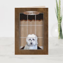 Suche nach fenster karten Süß