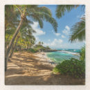Suche nach maui untersetzer Tropisch