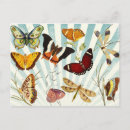 Suche nach vintager schmetterling postkarten Motte