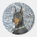 Suche nach dobermann magnete Hund