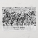 Suche nach african safari einladungen Tier