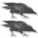 Suche nach schwarze krähe autoaufkleber Vögel