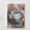 Suche nach orang utan einladungen Tier