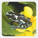 Suche nach costa rica aufkleber Ozean