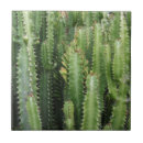 Suche nach dornen fliesen Kakteen