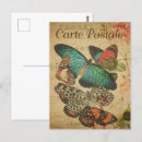 Suche nach vintage butterfly postkarten Schmetterling