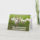 Suche nach lustig huhn karten 40
