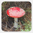 Suche nach forst aufkleber Pilze
