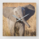 Suche nach gefährdet wanduhren Elefant