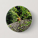 Suche nach pinkeln buttons Katze