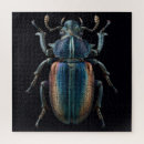 Suche nach käfer puzzle Entomologie