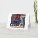 Suche nach seidig karten Terrier