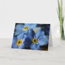 Suche nach vergissmeinnichte karten Vergessen sie