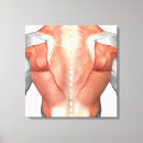 Suche nach menschlicher körper leinwandbilder Nah up