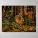 Suche nach hares poster Kaninchen