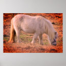 Suche nach pony poster Für alle