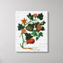 Suche nach weinrebe leinwandbilder Gemüserebe