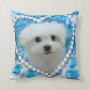 Suche nach maltesisch kissen Für alle