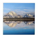 Suche nach der gletscher fliesen Wald