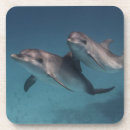 Suche nach posen untersetzer Foto