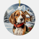 Suche nach beagle ornamente Winter