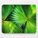 Suche nach tropischer mousepads Jede person