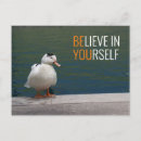 Suche nach feder foto postkarten Vogel