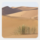 Suche nach sahara aufkleber Düne