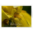 Suche nach beard karten Für alle