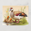 Suche nach gans postkarten Vogelvogel