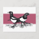 Suche nach maiskolben postkarten Vogelvogel