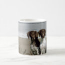 Suche nach zeiger tassen Deutscher kurzhaariger zeiger