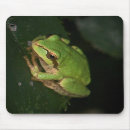 Suche nach grüner frosch mousepads Tiere