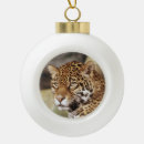 Suche nach wildkatzen ornamente Große katze